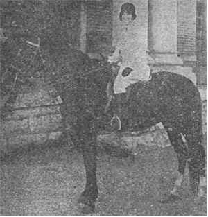 horselady.jpg (37949 bytes)